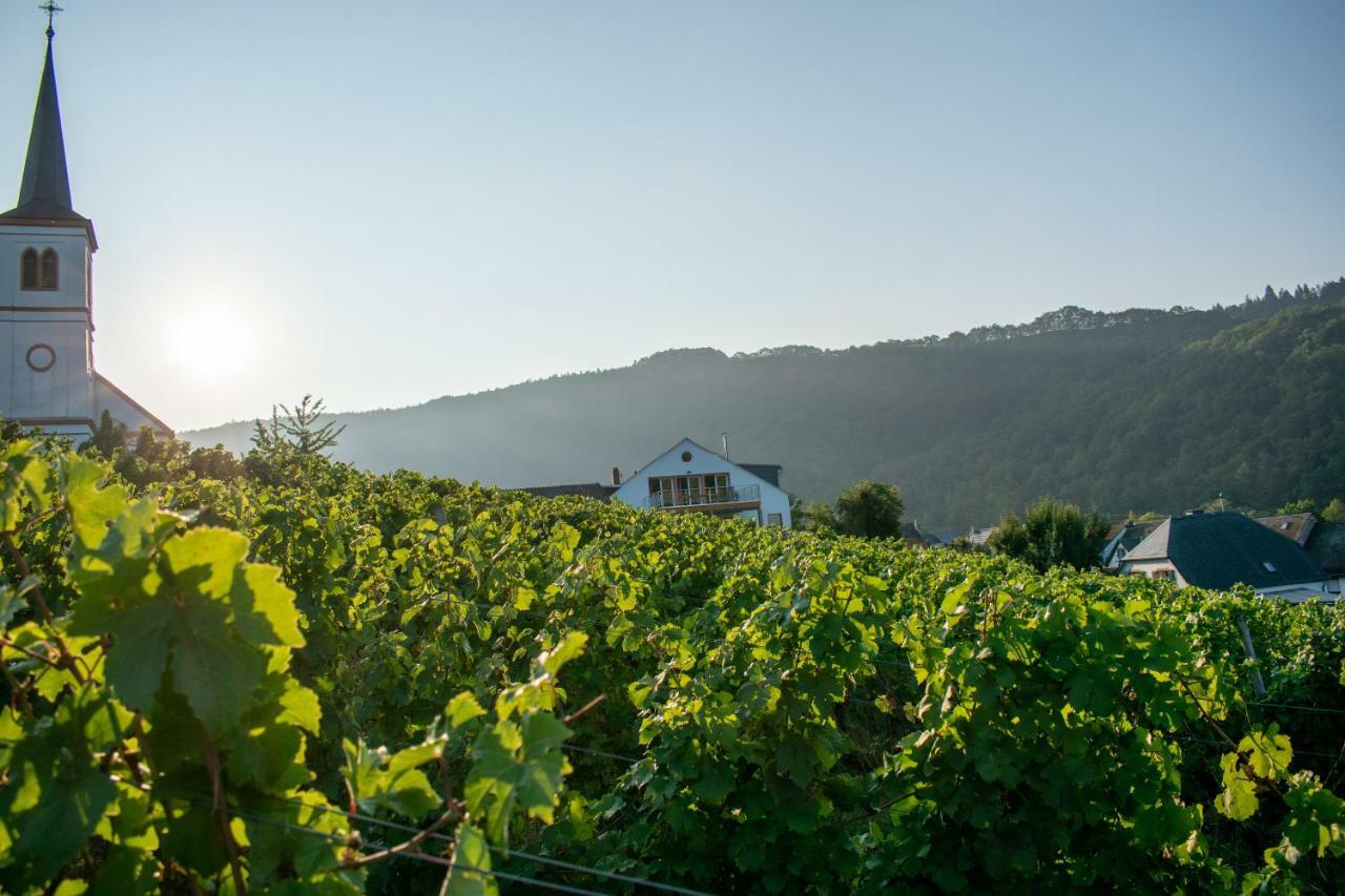 Weingut Johanneshof Minheim Buitenkant foto